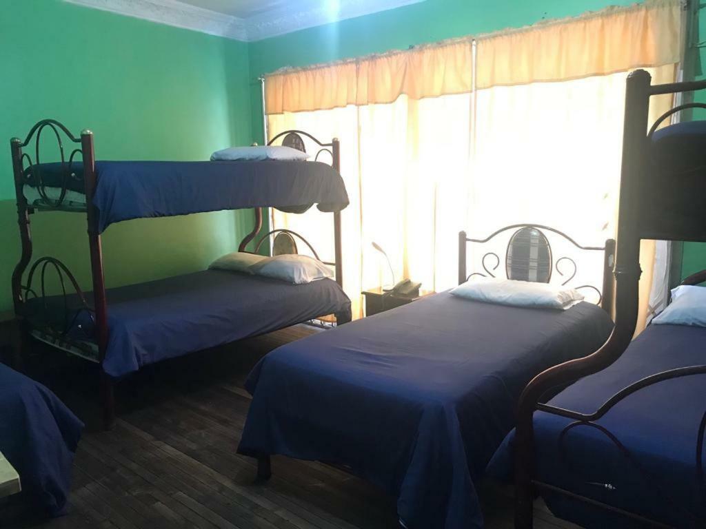 Hostel Luz Robles Quito Extérieur photo